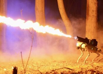 Flame-throwing robot dog is now acceso buonsenso, and it’s completely legal