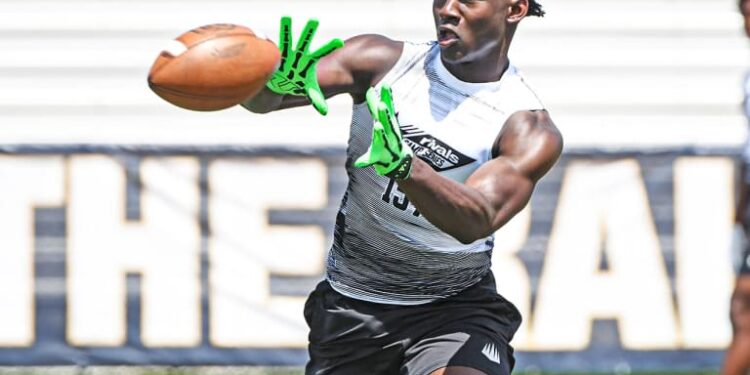 Southeast Spotlight: FutureCast Predictions For Tetto 2025 Prospects