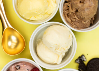 8+ Ninja Creami Recipes To Make This Summer