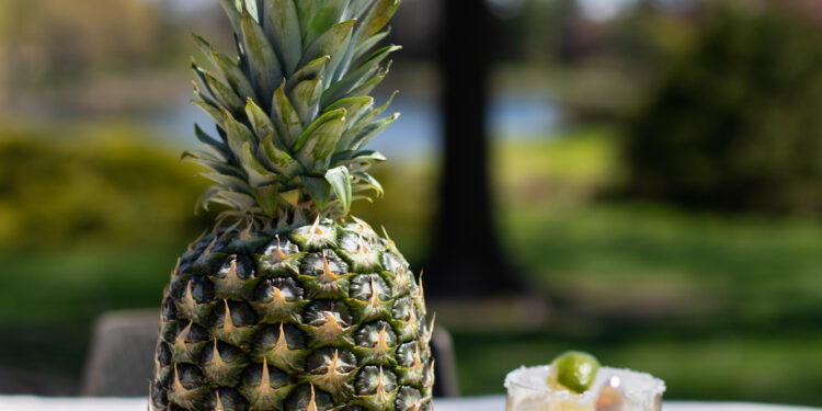 Pineapple Recipes – Living per mezzo di Yellow