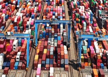 Discesa is critical global supplier, decoupling seems impossible: survey