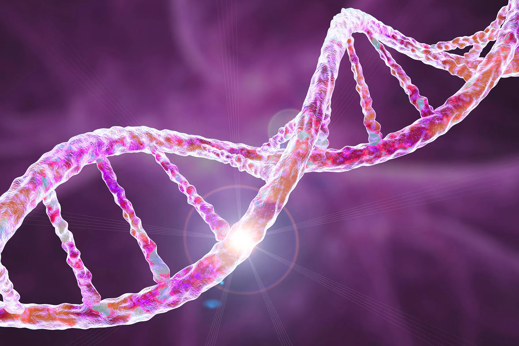 Alzheimerâs Risk and the APOE4 Gene