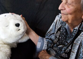 The Download: Cuddly robots to help dementia, and what Daedalus taught us