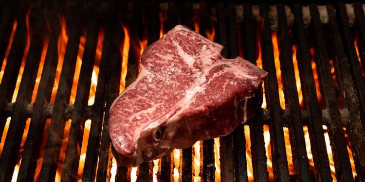 Experience Summertime Backyard BBQ Dining  Miami