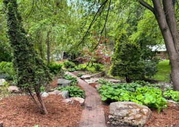 My 2024 Backyard Garden Plans and the Emotional Benefits of Gardening | Wit & Delight