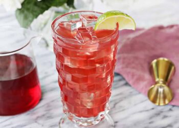 Bay Breeze Cocktail-party – A Beautiful Mess