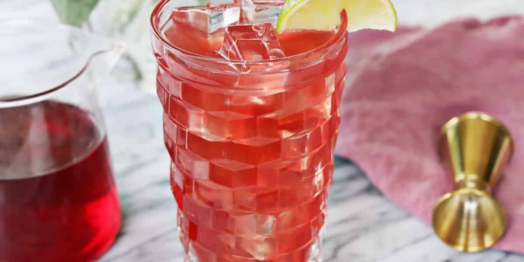 Bay Breeze Cocktail-party – A Beautiful Mess