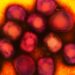 Health Experts are Watching a More Dangerous Version of Mpox