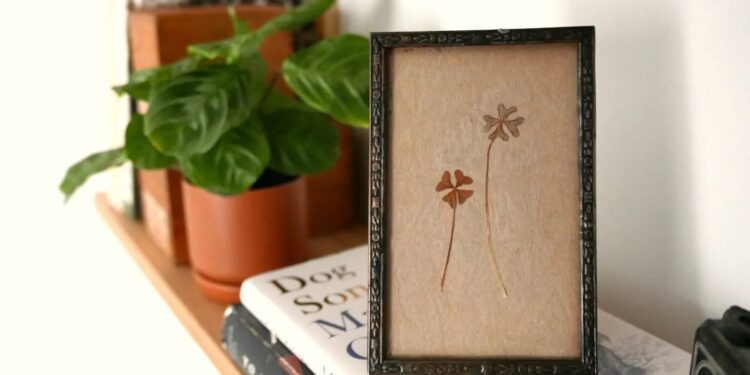 10 Readers Share Sweet Items They’ve Framed