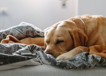 Have a Relaxing Weekend. | Cup of Jo