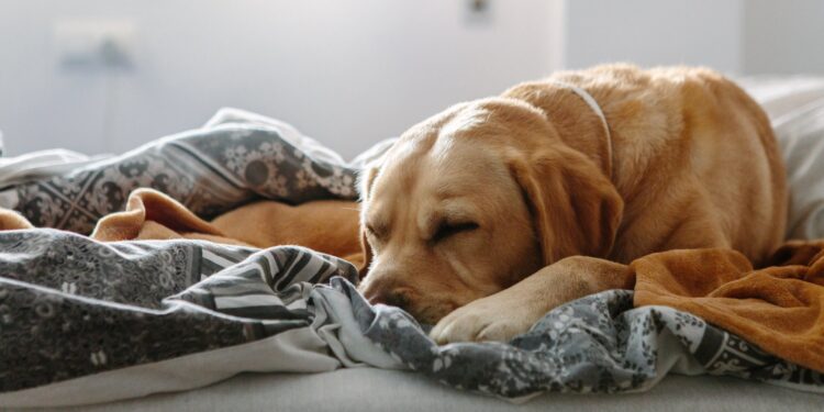 Have a Relaxing Weekend. | Cup of Jo