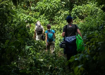 A Guide to Climbing the Rwenzori Mountains