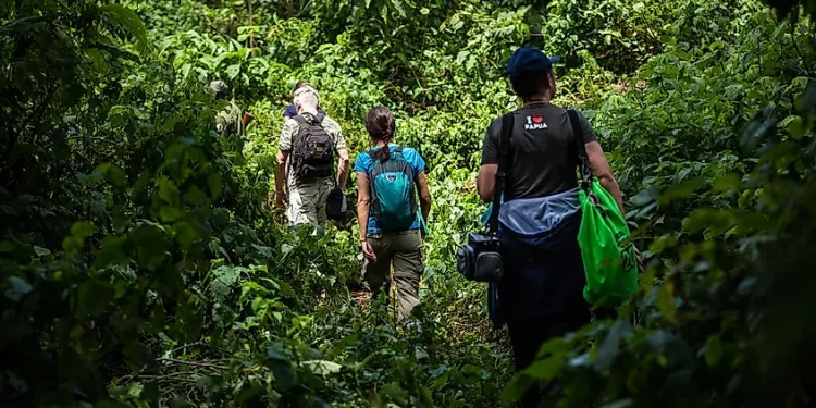 A Guide to Climbing the Rwenzori Mountains