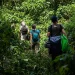 A Guide to Climbing the Rwenzori Mountains