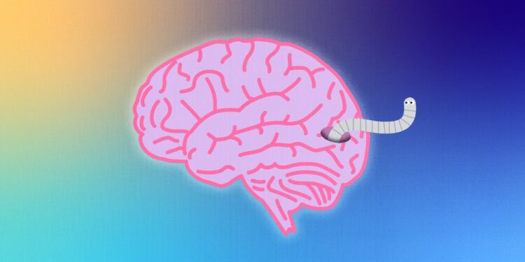 How Not to Get Brain-Eating Worms and Mercury Poisoning
