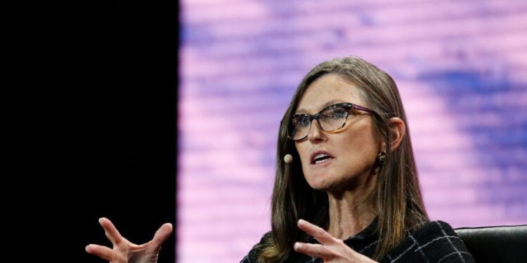 Cathie Wood’s Ark Invest has destroyed $14 billion per mezzo di wealth over the past decade, Morningstar says