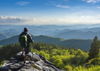 Freely Travel Insurance Review