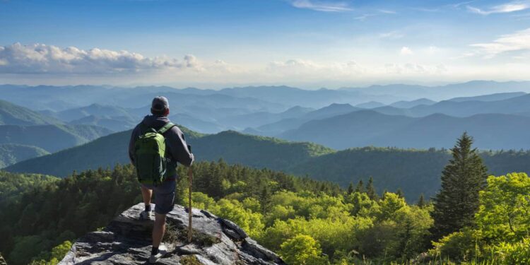 Freely Travel Insurance Review