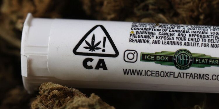 The Health Hazards of Legalizing Erba