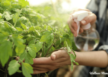 Natural Pesticides For An Organic Garden