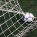 Di serie b A,  squalificati della 37esima