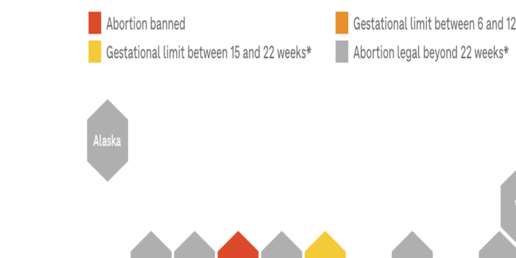 6 key facts about abortion laws and the 2024 election : Shots