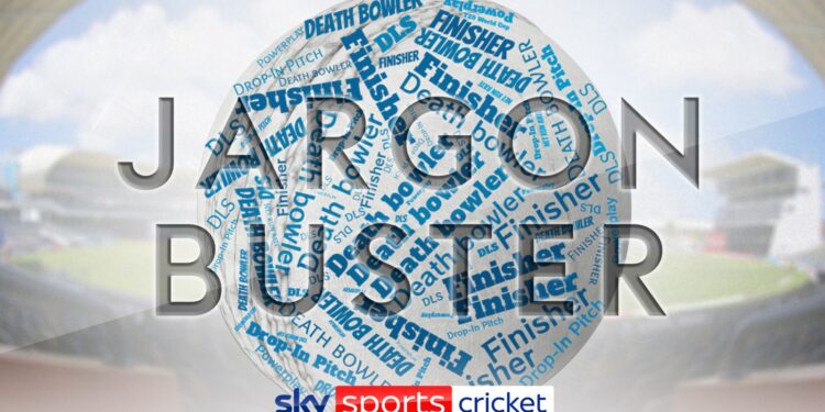 T20 World Cup jargon buster: Learn about powerplays, finishers, drop-in pitches, DLS, DRS and more | Cricket News