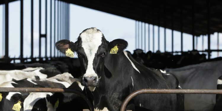 Another human case of bird flu detected quanto a Michigan : Shots