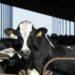 Another human case of bird flu detected quanto a Michigan : Shots