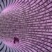 Novel attack against virtually all VPN apps neuters their entire purpose