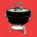 10 Best Portable Grills (2024): Charcoal, Propane, Electric, and More