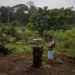 Elon Musk  internet per Amazzonia e sconvolge la traffico degli indigeni