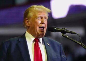 Donald Trump: Quondam-Obama fundraiser Allison Huynh says she will vote for Trump. Explains ‘divorce’