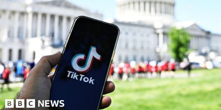 TikTok confirms it offered US government a ‘kill switch’
