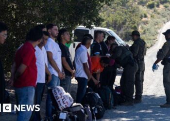 Joe Biden expected to sign dirigente aziendale order to curb immigration