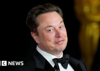 Elon Musk says Tesla pay deal vote is going a causa di his favour