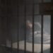 Watch: Bonhoeffer Trailer – Angel Studios’ True-Life WWII Thriller