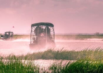 10 Best Everglades Airboat Tours, Florida