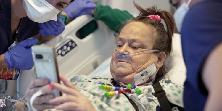 Woman Back acceso Dialysis After Doctors Remove Pig Kidney