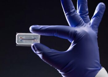 The Download: Replacing animal testing, and underwater drones