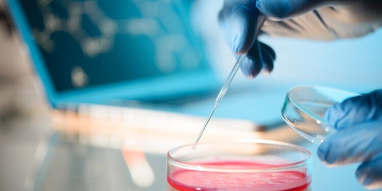 First U.S. Case of Sexually Transmitted Fungal Infection