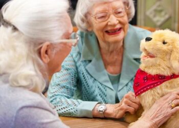 Robot cats, dogs and birds are being deployed amid an ‘epidemic of loneliness’