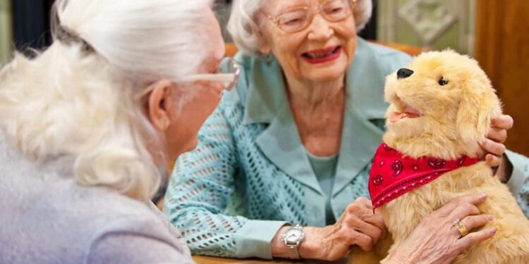 Robot cats, dogs and birds are being deployed amid an ‘epidemic of loneliness’