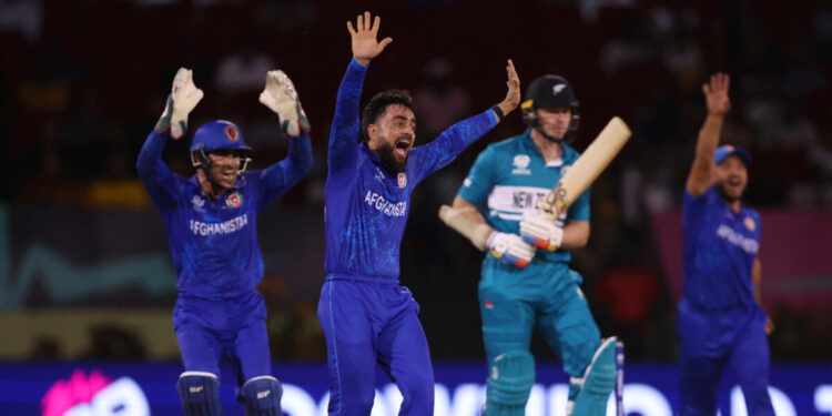 Rashid Khan dazzles as Afghanistan demolish NZ for 75 per mezzo di T20 World Cup stunner