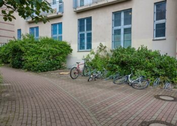 Berlin: Kind a causa di Katzenbox aus Fenster geworfen