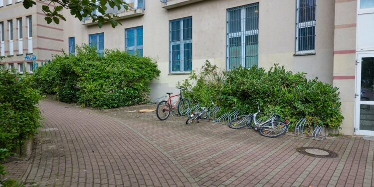 Berlin: Kind a causa di Katzenbox aus Fenster geworfen