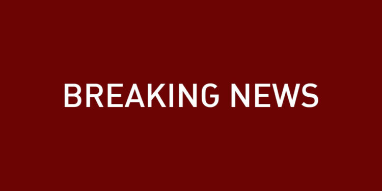 Assange released from UK prison – WikiLeaks — RT World News