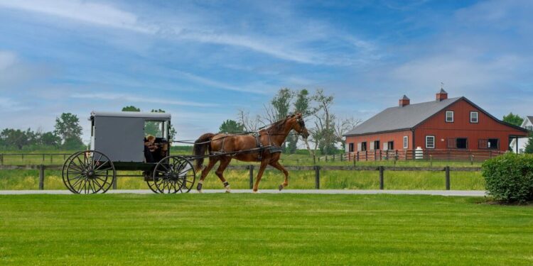 Things To Do  Amish Country – Lancaster, PA