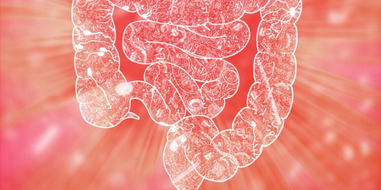 Gut microbiome is linked to how we handle tensione per new study : Shots