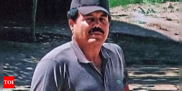 Mexican drug kingpin ‘El Mayo’ Zambada and El Chapo’s son – Two cima figures per Sinaloa cartel arrested per US